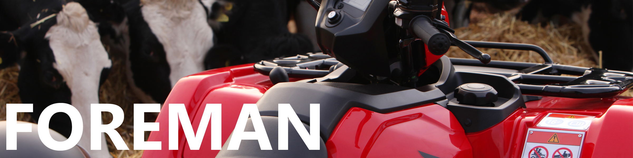 Honda Foreman ATV